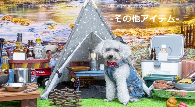 バーベキューアイテム